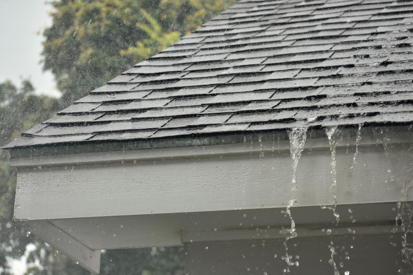 Residential roof exposed to winter rain in Southwest Washington