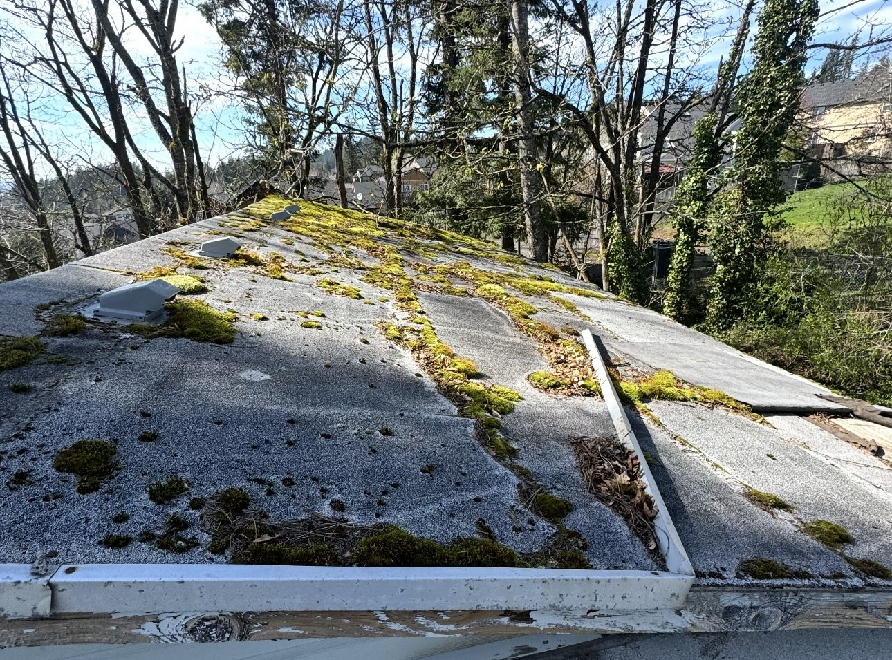 Moss-covered residential roof in Southwest Washington during winter