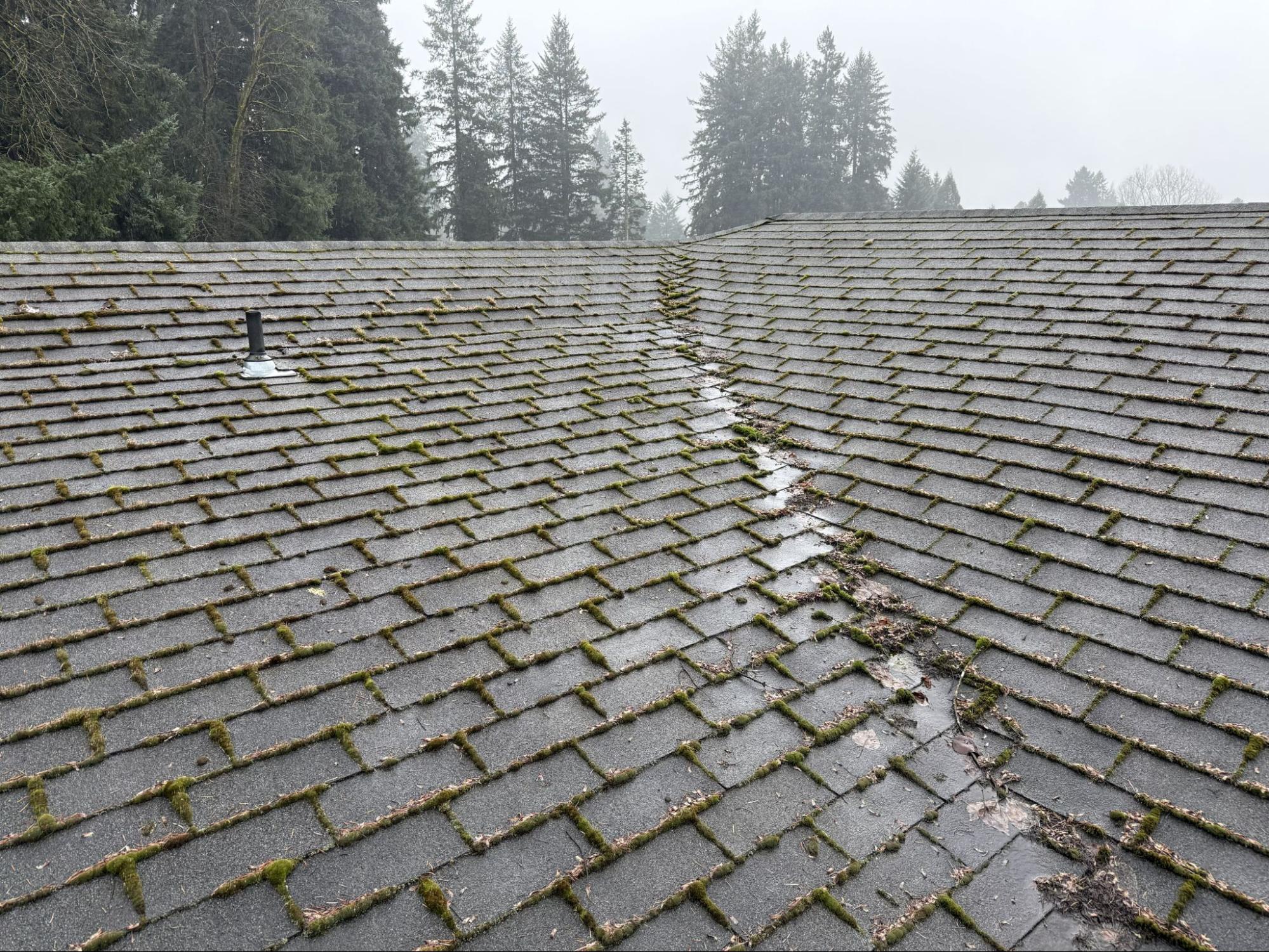 Moss and lifting shingles on a rain-soaked Vancouver, WA roof before replacement