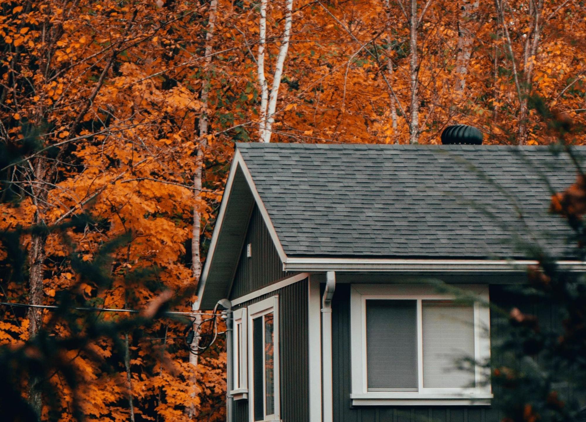 Asphalt shingle roof surrounded by fall leaves, ready for fall roof maintenance.