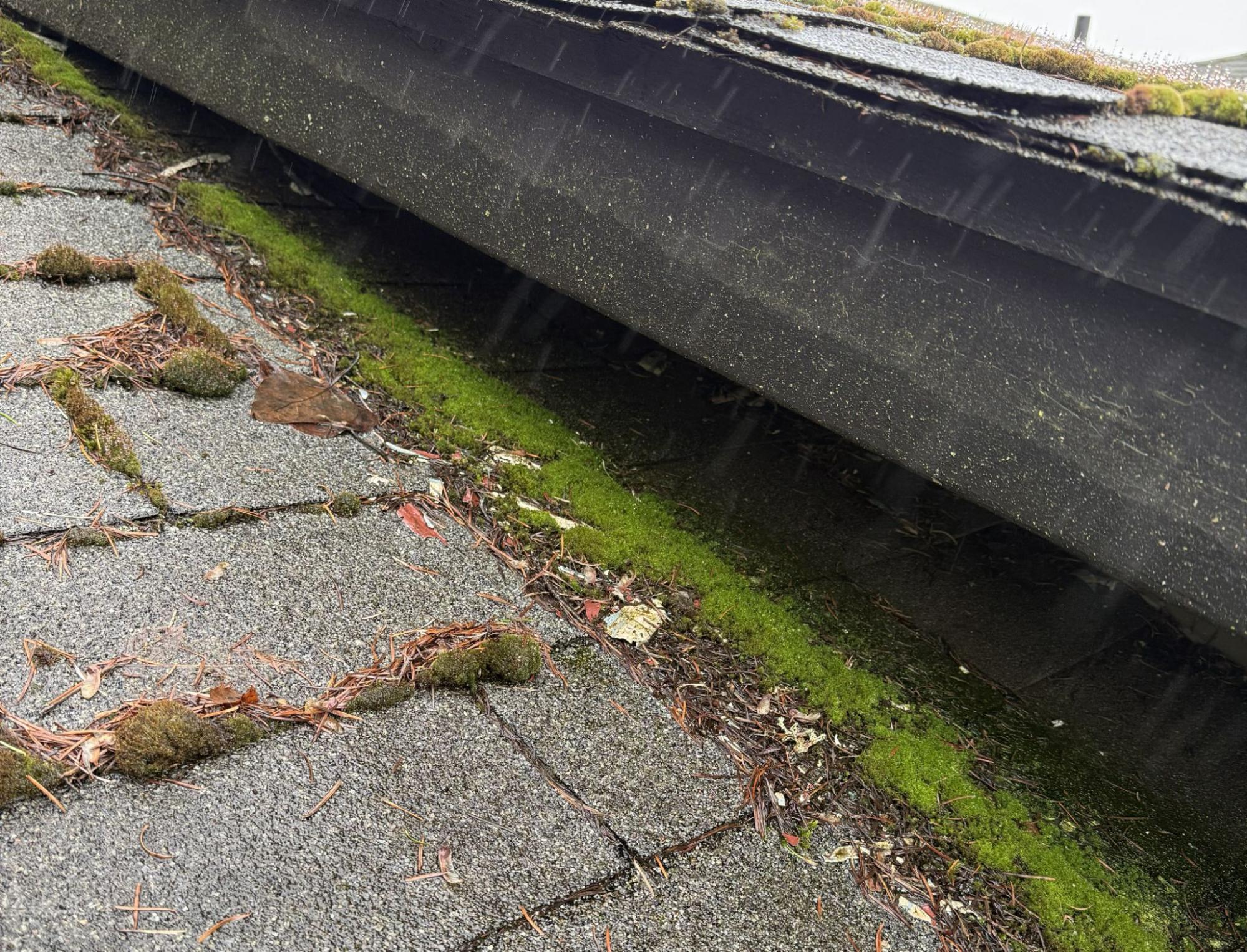 Moss and fir needles packed along a shaded roof edge beneath an upper roofline.